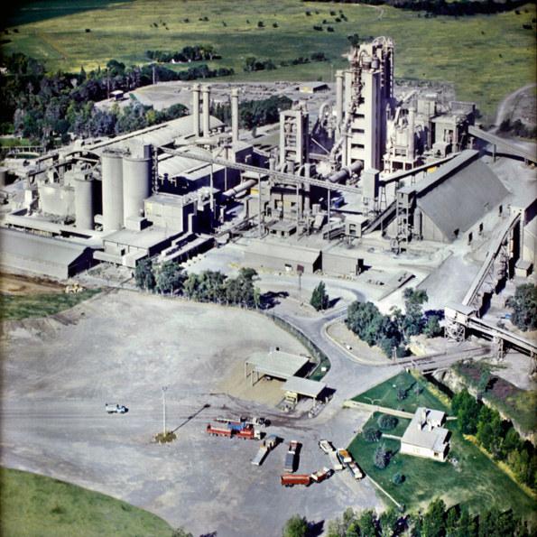 Olavarria plant